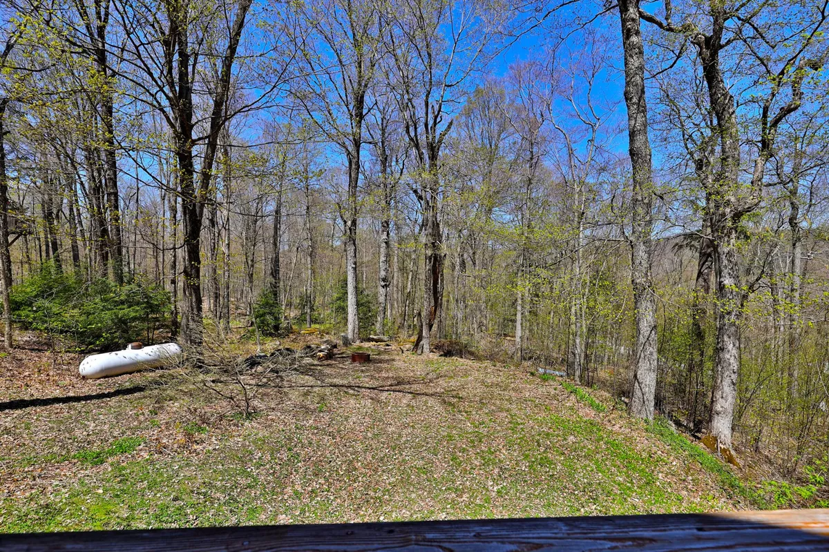 This exterior image captures a serene wooded setting surrounding a cleared area, with a visible fire pit and propane tank. Dense trees provide a lush backdrop, evoking the feeling of being immersed in nature and offering a glimpse of the outdoor environment guests will enjoy during their summer adventures.
